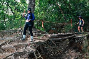 BIB: 
                            <button type="button" onclick="openModal(27722483)" class="btn btn-primary btn-sm float-right btn-popup" data-toggle="modal" data-target=".modal-high-quality">
                        <i class="fas fa-shopping-cart"></i> Add to Cart
                    </button>
                                            <button type="button" onclick="isThisMe(27722483, true)" class="btn btn-success btn-sm float-right btn-popup btn-isme hidden" data-toggle="tooltip" data-placement="bottom" title="นี่คือรูปของคุณใช่ไหม คลิกที่นี่เพื่อเอาเข้าอัลบั้ม">
                        <i class="fas fa-plus"></i> Add to album
                    </button>
                    <button type="button" onclick="isThisMe(27722483, false)" class="btn btn-warning btn-sm float-right btn-popup btn-isnotme hidden">
                        <i class="fas fa-ban"></i> Remove from album
                    </button>